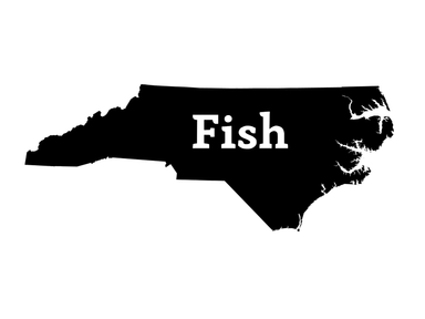 Fish North Carolina Decal - elliottenvisions