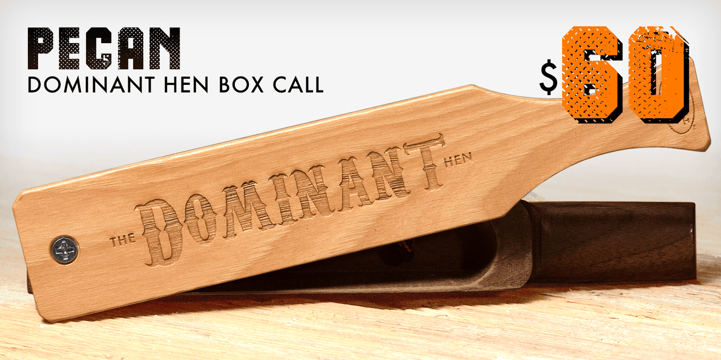 Dominant Hen | Box Call | Tom Teasers - elliottenvisions