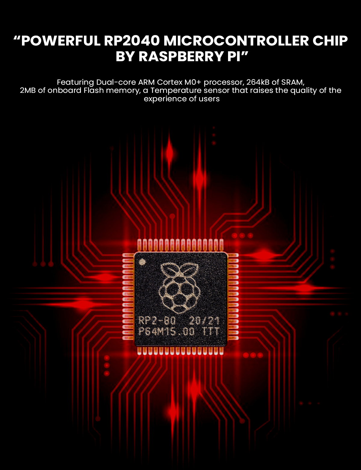 Raspberry Pi Pico Board