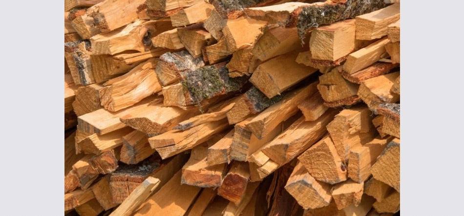 What Is The Best Wood To Use For Firewood?