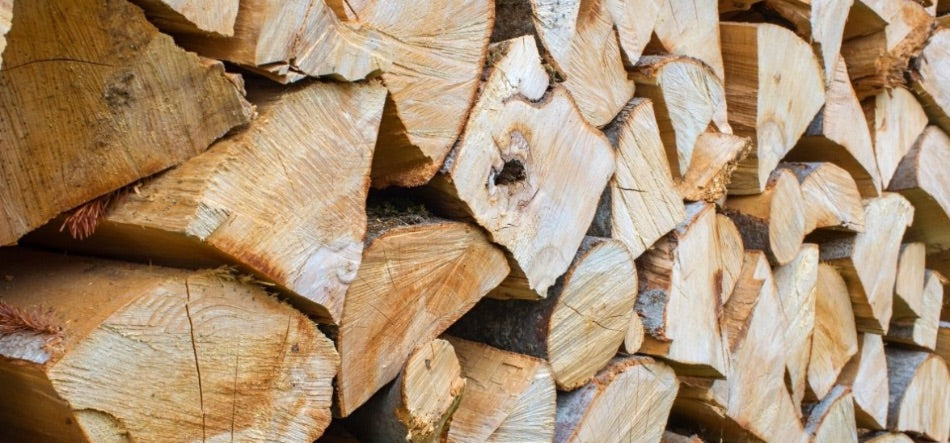 Are There Any Reasons Pine Wood Is Bad For Burning?