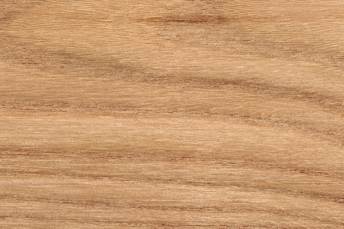 Is Locust Good Firewood?