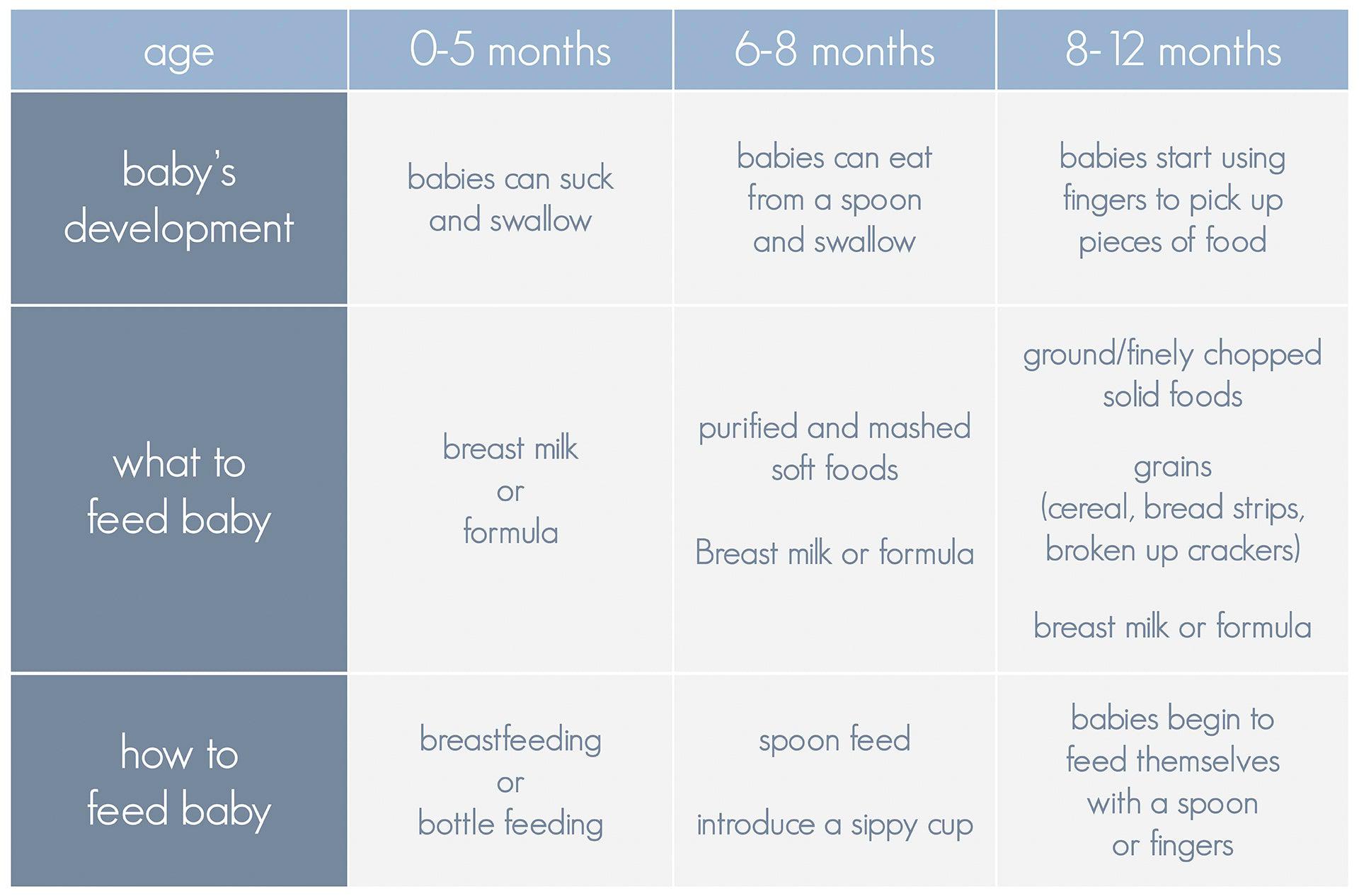 Feeding Your Baby Age 6-12 months booklet