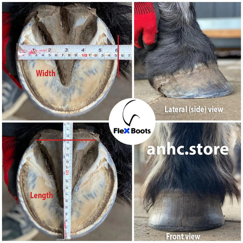 Measuring for the Flex Hoof Boots