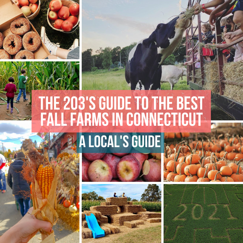 fall farms to visit in ct