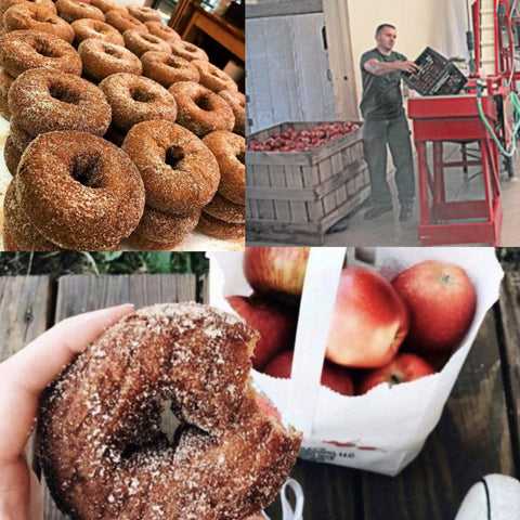 Beardsley Cider Mill - The 203's Fave Cider Mills in CT