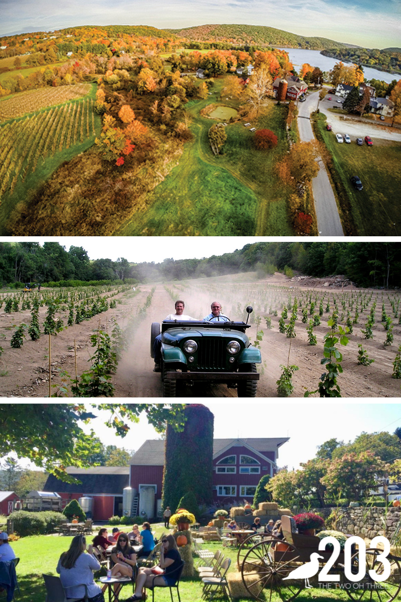 Connecticut Vineyards to visit in the Fall. Best CT wineries for fall and autumn.