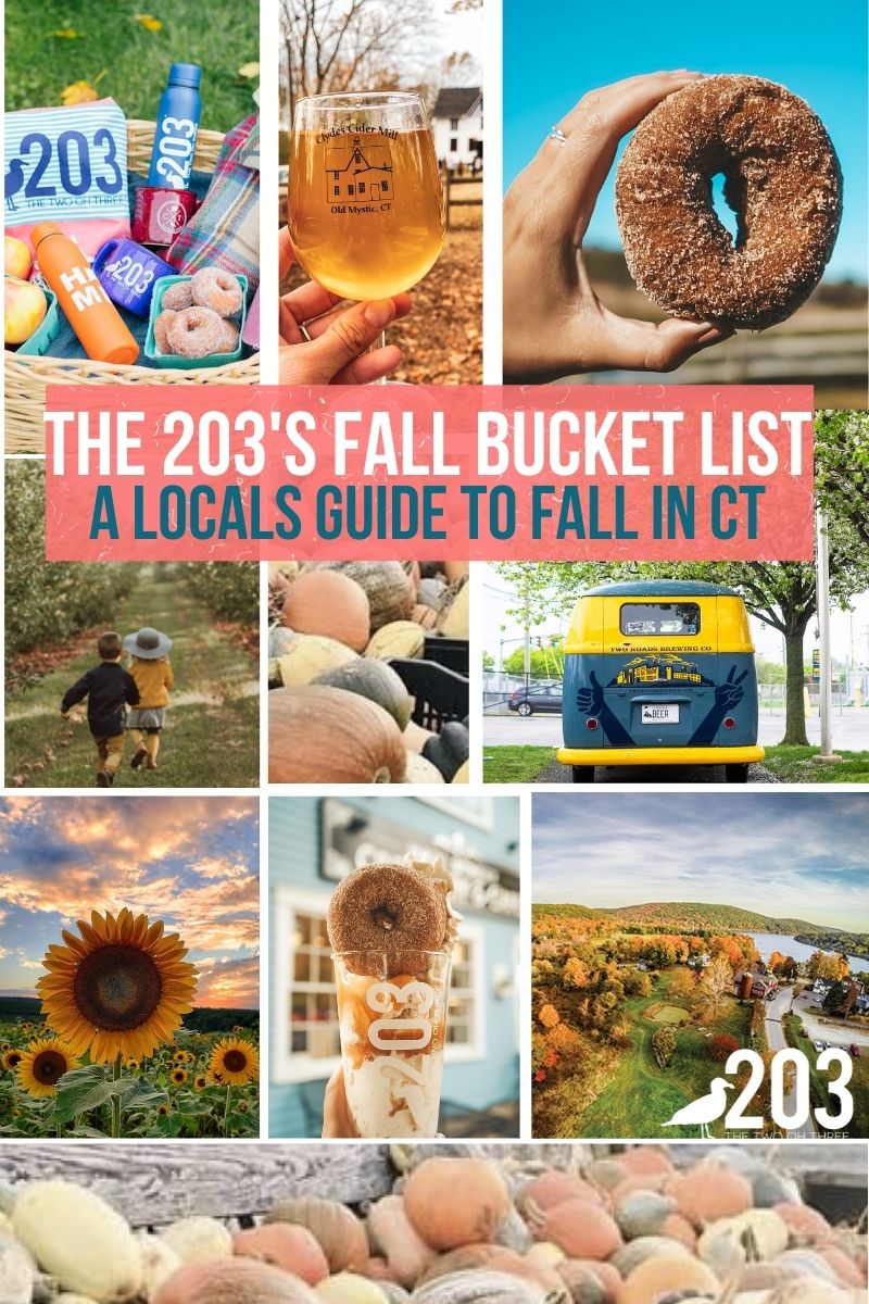 Fall Activities in Connecticut 