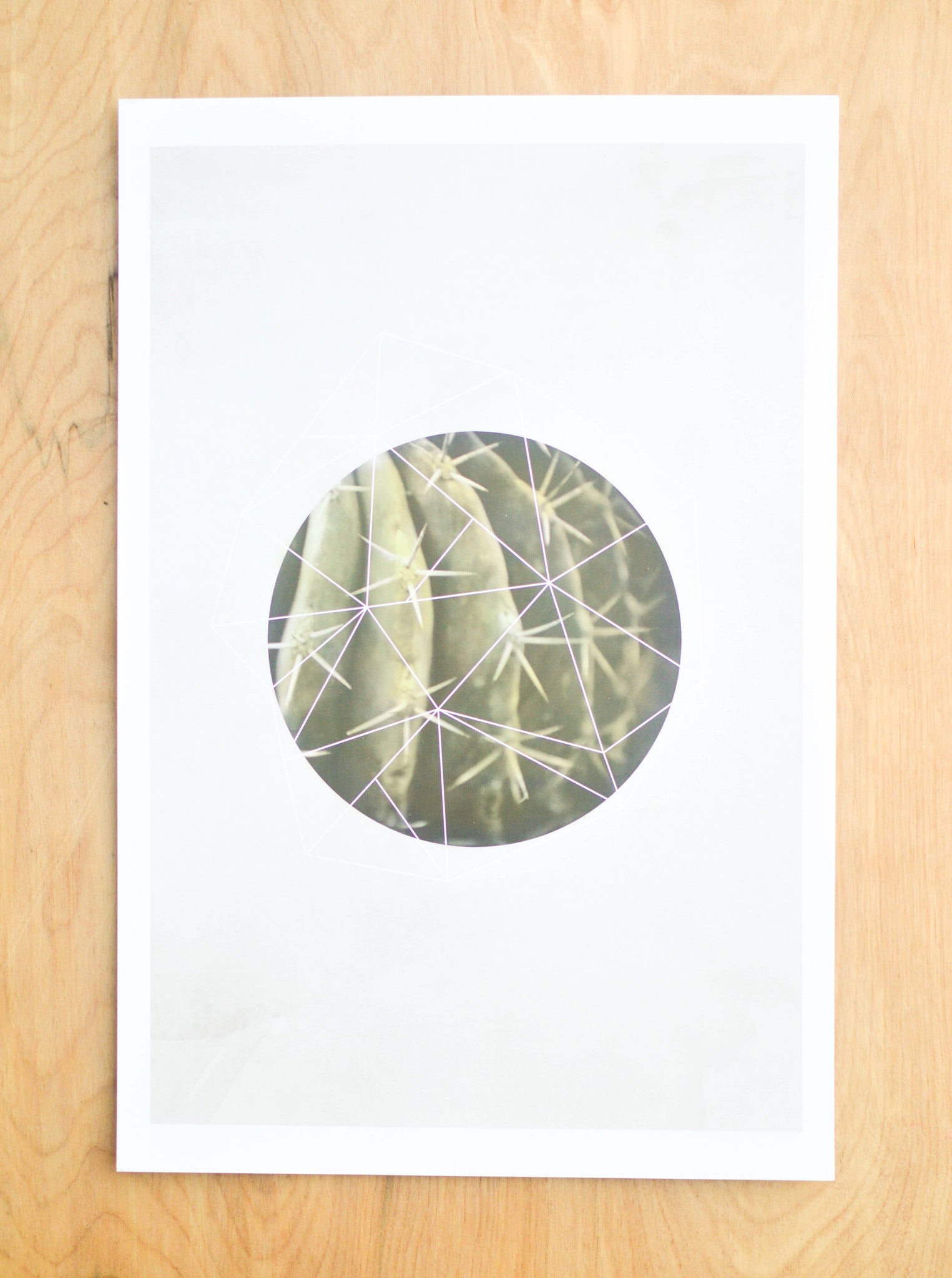 Geo Cactus Print