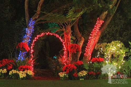 encinitas-san-diego-botanic-garden-of-lights1_0