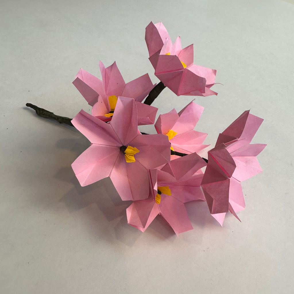 Verlichten Goneryl te rechtvaardigen Paper Tree – Paper Tree - The Origami Store