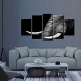 Canvas - Elegant Elephant Canvas