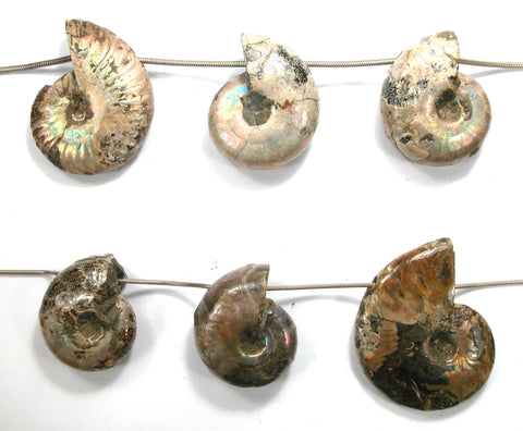 6 Beads I made out of fossil ammonites from Madagascar. 