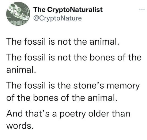 a meme about the fossil is the stone's memory of the bones of the animal
