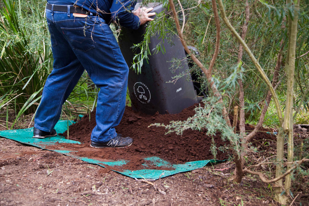 Reground Coffee Waste Program Melbourne