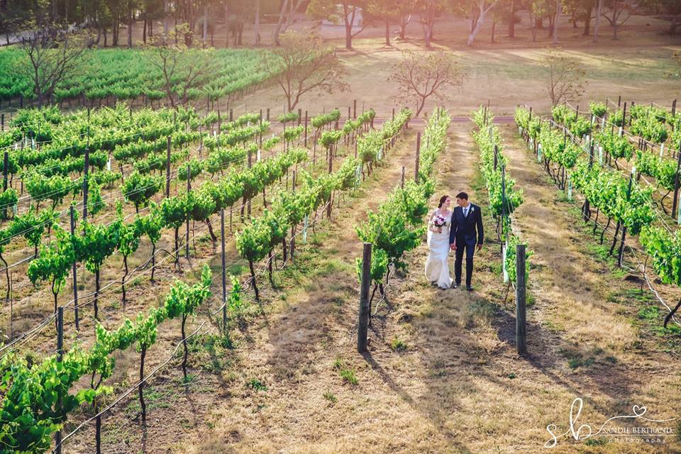 Sarah and Allan Fairbrossen Estate Wedding White Cherry Invitations