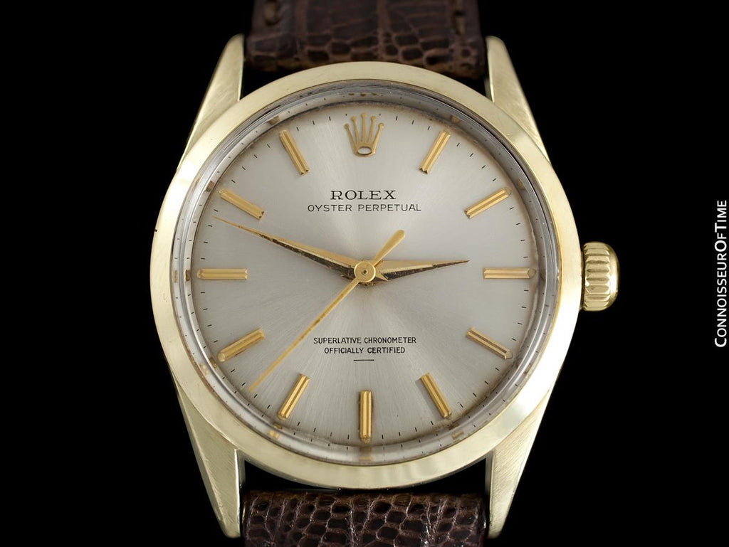 rolex shell watch