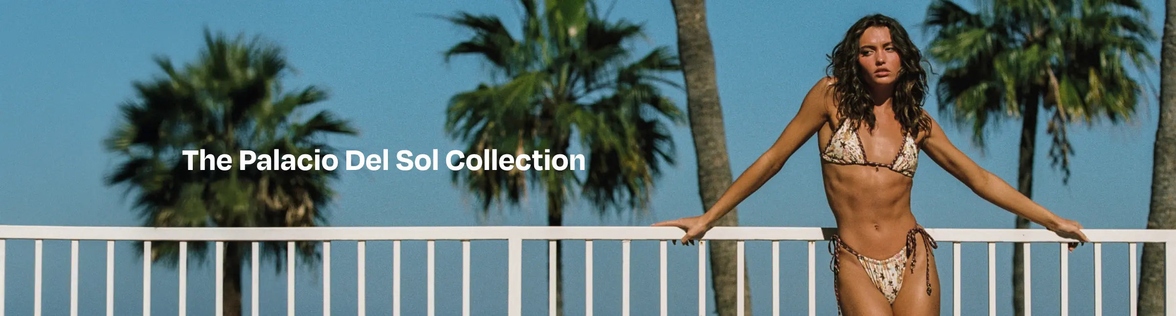 collection-banner