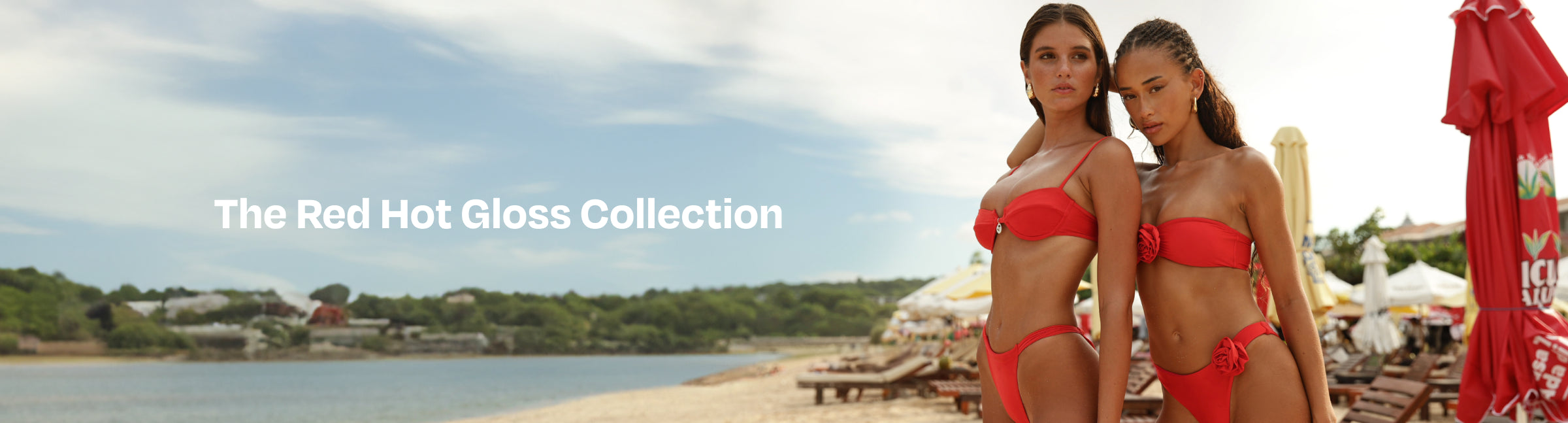 collection-banner