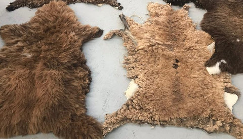 What is Sheepskin Leather: Why it's a Must-Have Material? – Lusso Leather