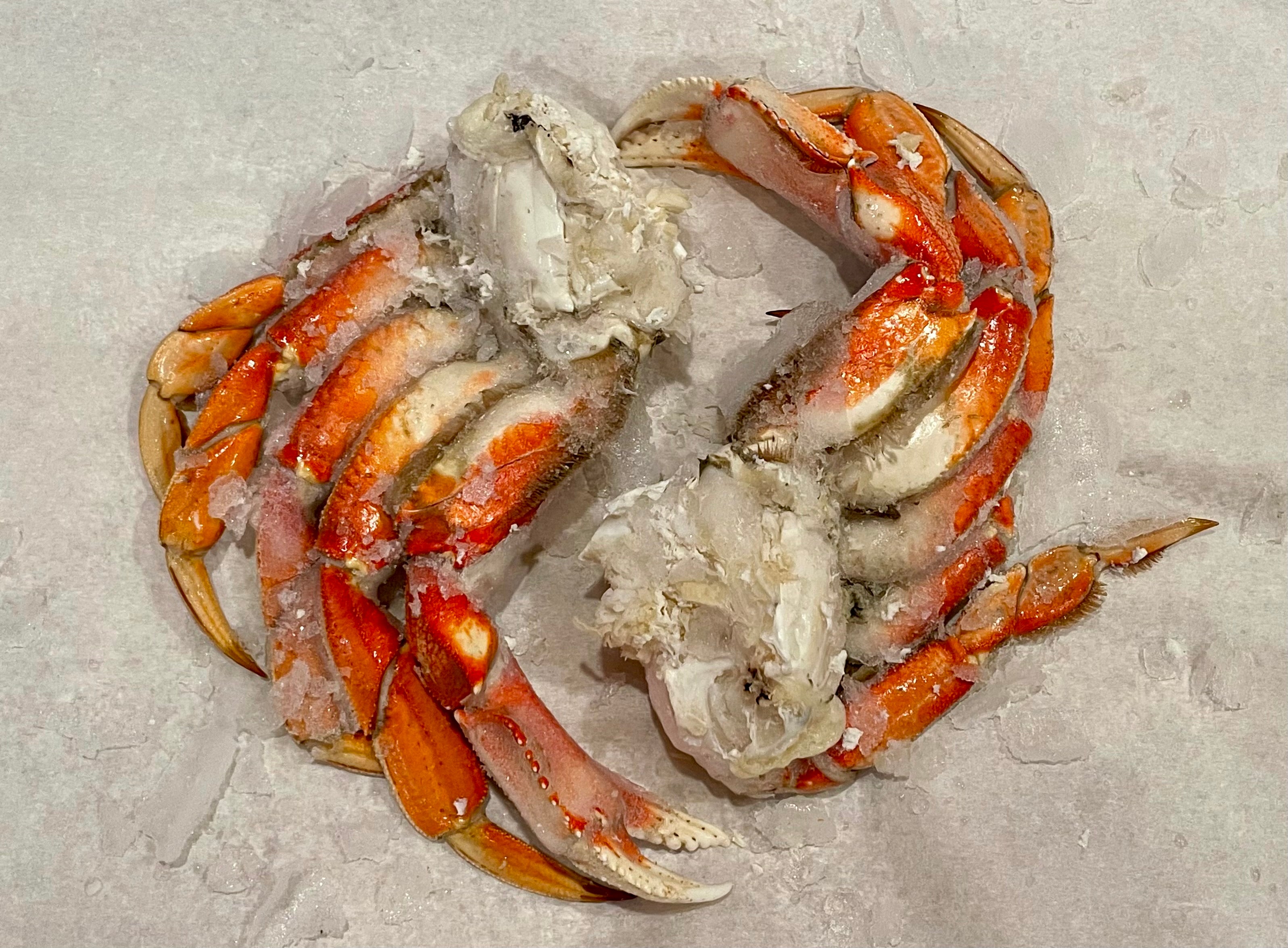 Image of Dungeness Crab