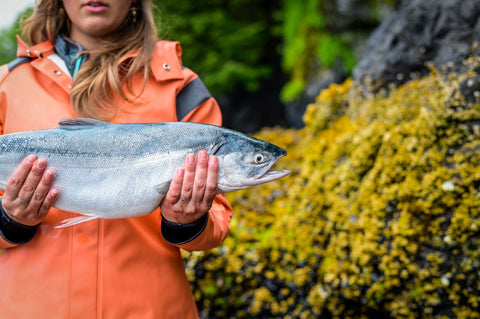 wild Alaskan sockeye salmon