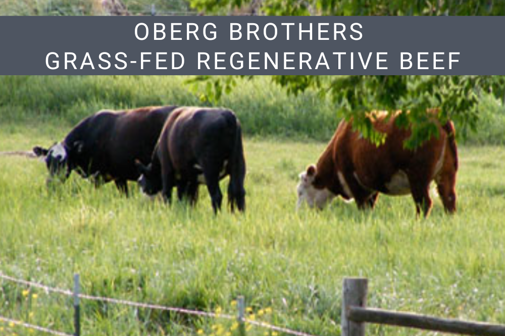 Image of Grass-fed Regenerative Beef