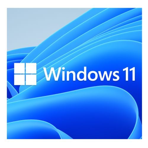 windows 11 professional 64 bit