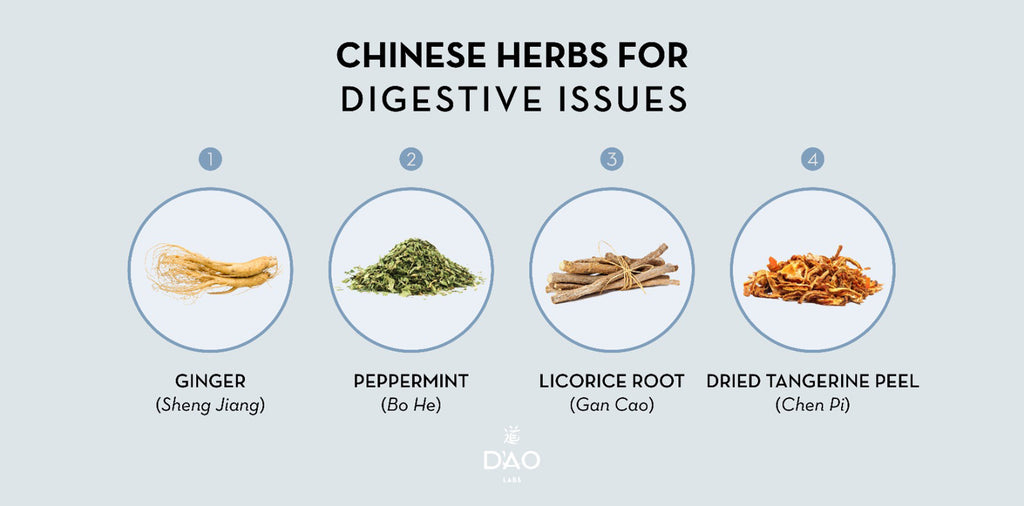 Best Chinese Herbs for Digestion