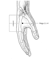 large intestine acupressure spot