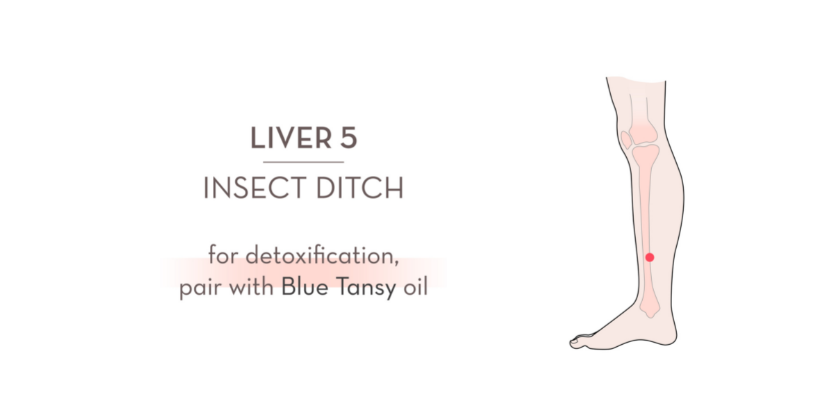 liver 5 acupressure
