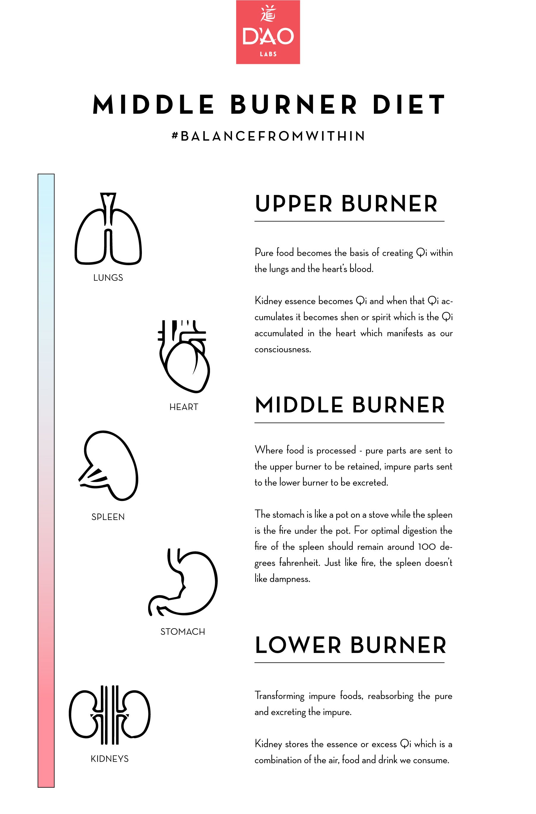 middle burner diet