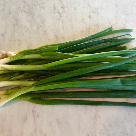 Scallions for DAO Labs
