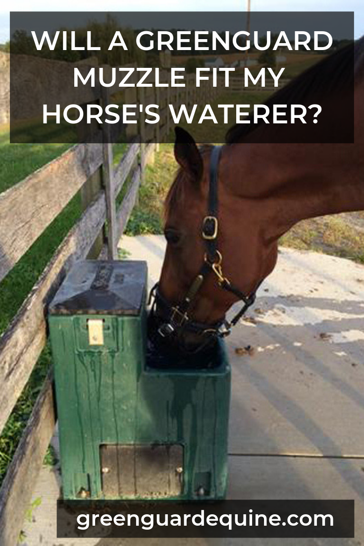 greenguard muzzle horse waterer