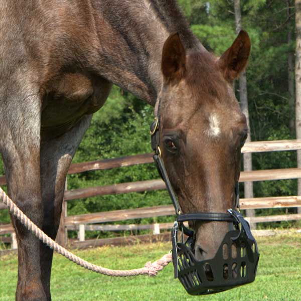 greenguard grazing muzzle