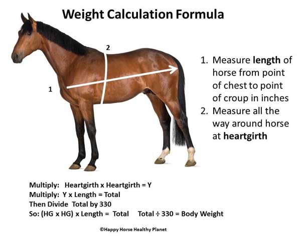 calculateur de poids de cheval