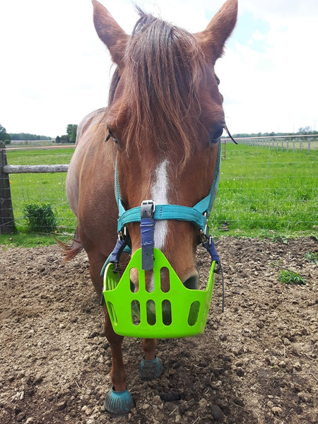 greenguard grazing muzzle reviews