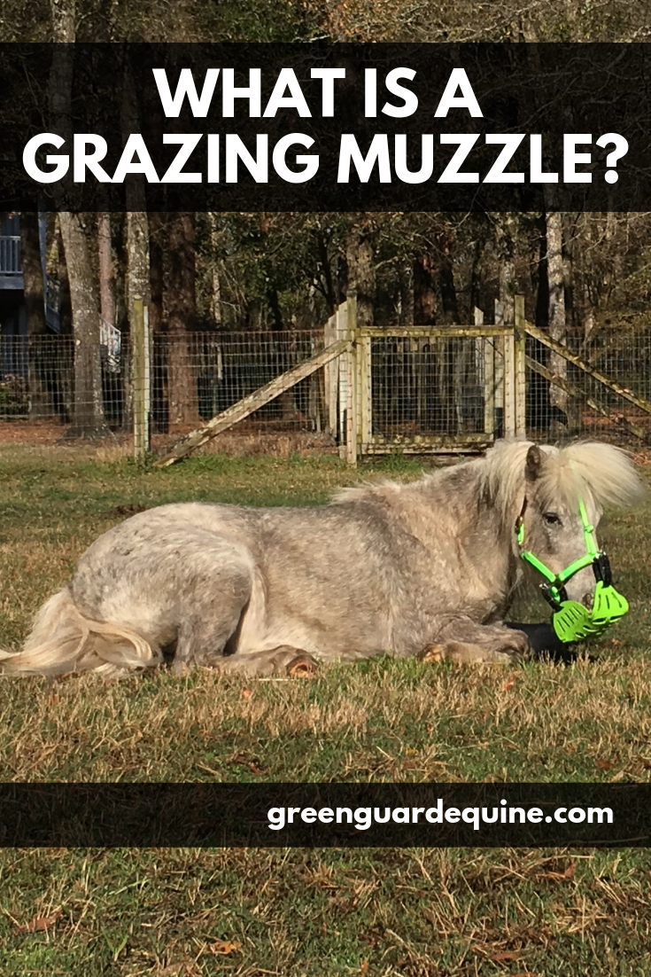 what is a grazing muzzle