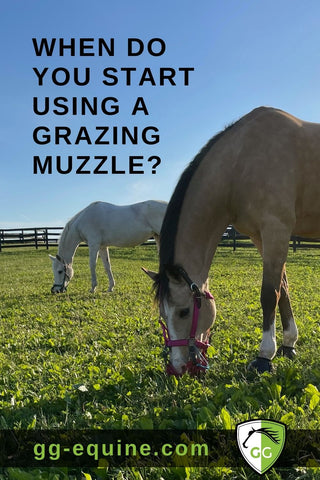 When is the right time in Spring for horses to start wearing grazing muzzles?