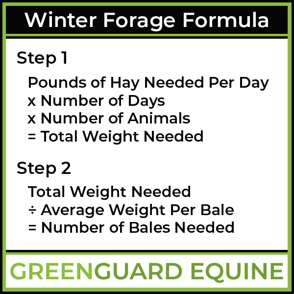 formule de fourrage d'hiver pour chevaux