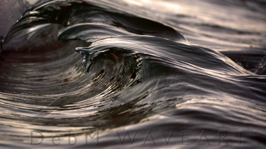 Arching wave photography by deb morris