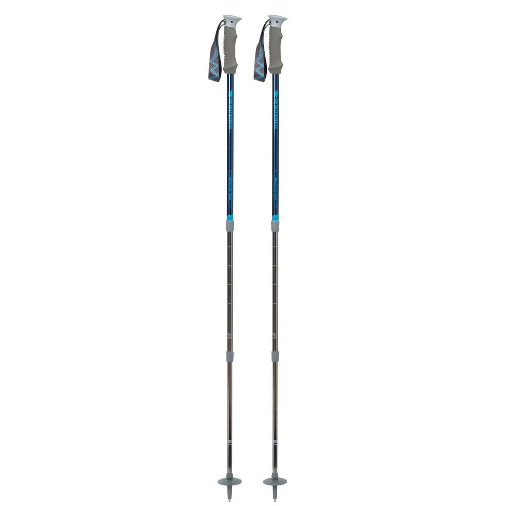 mountainsmith trekking pole