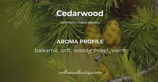 Cedarwood Essential Oil Aroma Profile