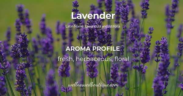 Lavender Essential Oil Aroma Profile