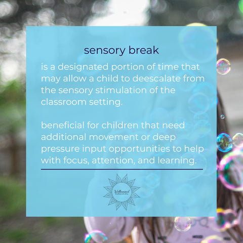 Sensory Break Definition