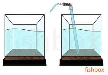 Dodajanje hranilne podlage v akvarij, menjava vode - fishbox