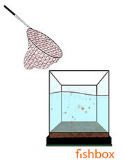 Dodajanje hranilne podlage v akvarij - fishbox