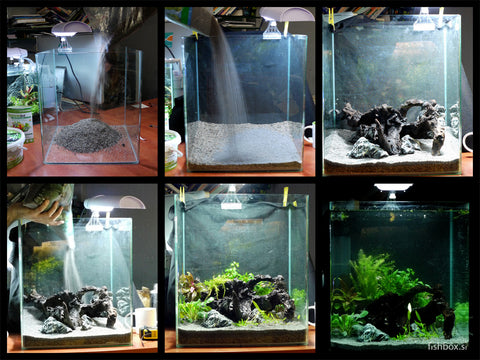 Ureditev akvarija - fishbox