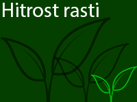 Hitrost rasti: POČASNA