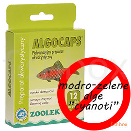 Algocaps proti algam v akvariju - fishbox
